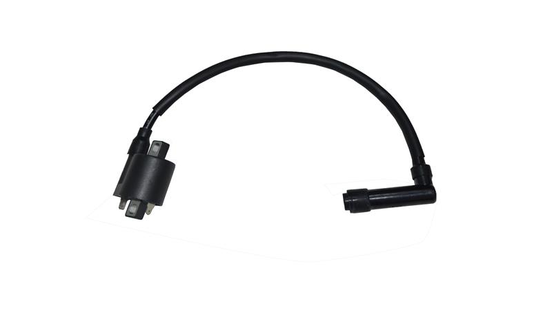 ATEŞLEME BOBİNİ (VIESTE249)